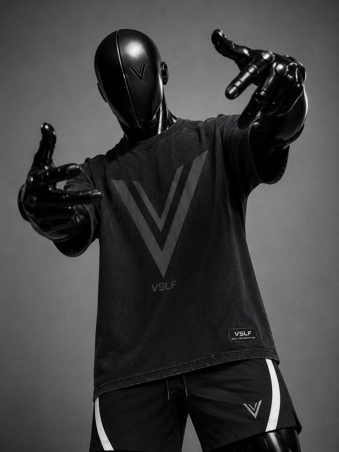 Meet V